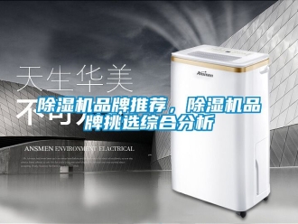 企業新聞除濕機品牌推薦，除濕機品牌挑選綜合分析