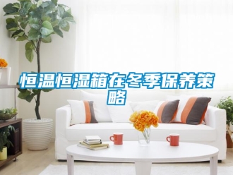 知識百科恒溫恒濕箱在冬季保養策略