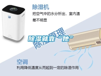 企業新聞除濕就靠“她”