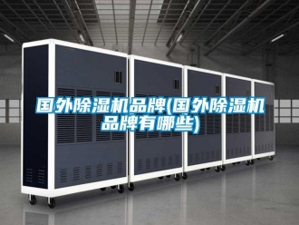 企業新聞國外除濕機品牌(國外除濕機品牌有哪些)