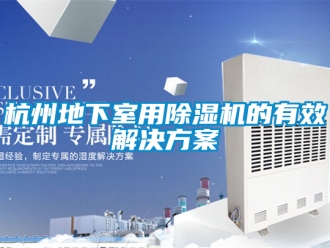行業(yè)新聞杭州地下室用除濕機(jī)的有效解決方案