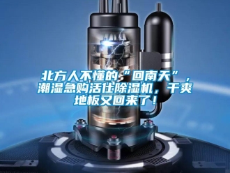 常見問題北方人不懂的“回南天”，潮濕急購活仕除濕機，干爽地板又回來了！