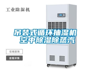 企業新聞吊裝式循環抽濕機 空中除濕除蒸汽