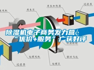 企業新聞除濕機電子商務發力營銷“優價+服務”廣獲好評