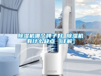 行業(yè)新聞除濕機(jī)哪個(gè)牌子好 除濕機(jī)有什么缺點(diǎn)【詳解】