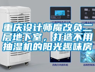 企業(yè)新聞重慶設(shè)計師魔改負二層地下室，打造不用抽濕機的陽光趣味房