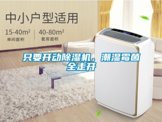 行業新聞只要開動除濕機，潮濕霉菌全走開