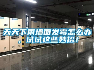 常見(jiàn)問(wèn)題天天下雨墻面發(fā)霉怎么辦，試試這些妙招！