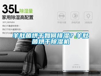 常見問題羊肚菌烘干如何排濕？羊肚菌烘干除濕機