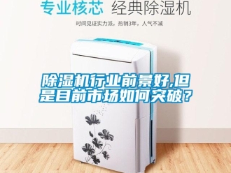 常見問題除濕機行業前景好,但是目前市場如何突破？