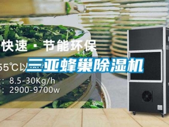 行業新聞三亞蜂巢除濕機