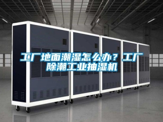 企業新聞工廠地面潮濕怎么辦？工廠除潮工業抽濕機