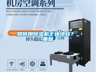 行業新聞如何用除濕機干燥地毯？_重復