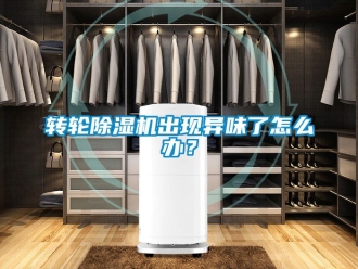 常見問題轉輪除濕機出現異味了怎么辦？