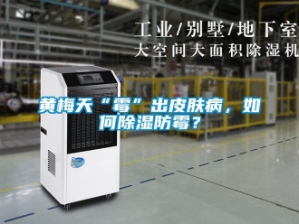 常見問題黃梅天“霉”出皮膚病，如何除濕防霉？