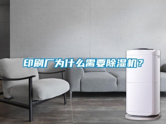 行業(yè)新聞印刷廠為什么需要除濕機(jī)？