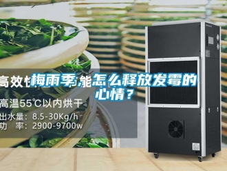 常見問題梅雨季，怎么釋放發(fā)霉的心情？