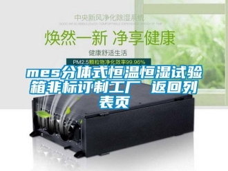 常見問題mes分體式恒溫恒濕試驗箱非標訂制工廠 返回列表頁
