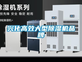 企業新聞興化高效大型除濕機品牌