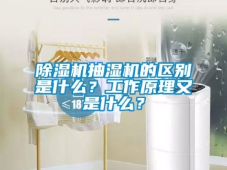 企業新聞除濕機抽濕機的區別是什么？工作原理又是什么？