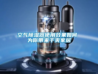 行業新聞空氣除濕器使用效果如何 為你帶來干爽家居
