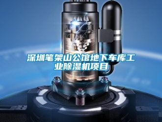 常見問題深圳筆架山公館地下車庫工業除濕機項目