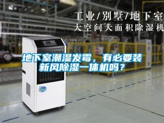 常見(jiàn)問(wèn)題地下室潮濕發(fā)霉，有必要裝新風(fēng)除濕一體機(jī)嗎？