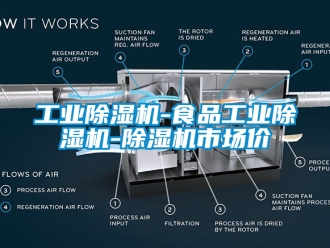 常見問題工業除濕機-食品工業除濕機-除濕機市場價