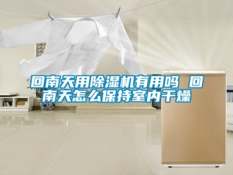 行業新聞回南天用除濕機有用嗎 回南天怎么保持室內干燥