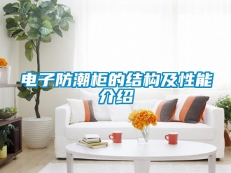 常見問題電子防潮柜的結構及性能介紹