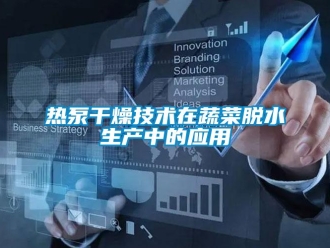 行業(yè)新聞熱泵干燥技術(shù)在蔬菜脫水生產(chǎn)中的應(yīng)用