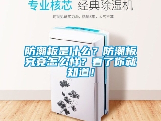 常見問題防潮板是什么？防潮板究竟怎么樣？看了你就知道！