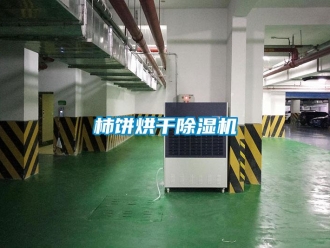 知識(shí)百科柿餅烘干除濕機(jī)