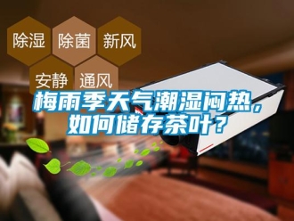常見問題梅雨季天氣潮濕悶熱，如何儲存茶葉？