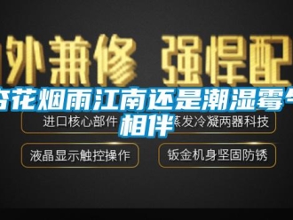 知識(shí)百科杏花煙雨江南還是潮濕霉氣相伴