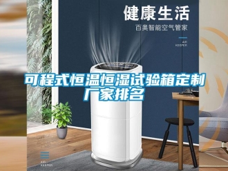 知識百科可程式恒溫恒濕試驗箱定制廠家排名