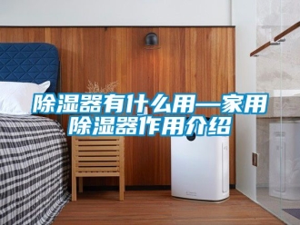 行業新聞除濕器有什么用—家用除濕器作用介紹