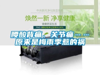 知識百科腰酸背痛、關節痛……原來是梅雨季惹的禍