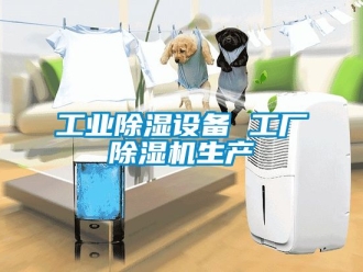 常見問題工業(yè)除濕設(shè)備 工廠除濕機(jī)生產(chǎn)