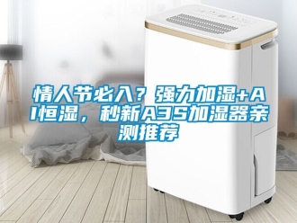 知識百科情人節必入？強力加濕+AI恒濕，秒新A3S加濕器親測推薦