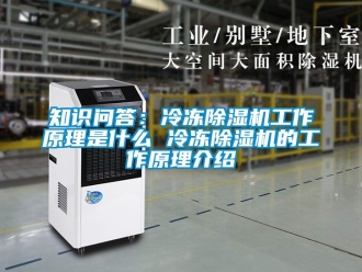 行業新聞知識問答：冷凍除濕機工作原理是什么 冷凍除濕機的工作原理介紹