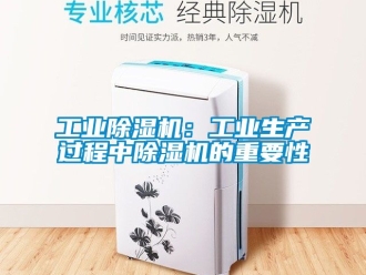 常見問題工業除濕機：工業生產過程中除濕機的重要性