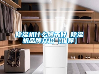 企業新聞除濕機什么牌子好 除濕機品牌介紹【推薦】