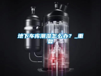 企業(yè)新聞地下車庫潮濕怎么辦？_重復