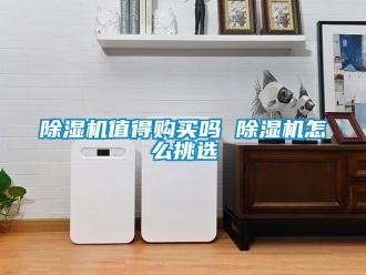 行業(yè)新聞除濕機(jī)值得購買嗎 除濕機(jī)怎么挑選
