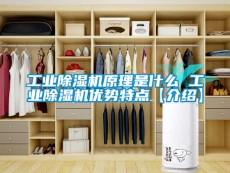 常見問題工業除濕機原理是什么 工業除濕機優勢特點【介紹】