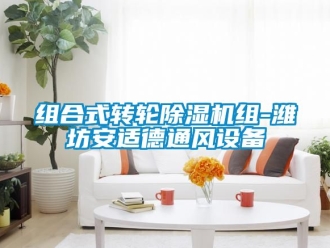 常見問題組合式轉輪除濕機組-濰坊安適德通風設備