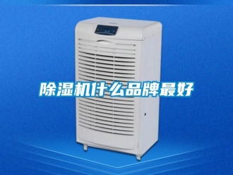 企業新聞除濕機什么品牌最好