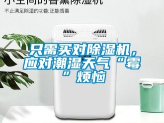 知識百科只需買對除濕機，應對潮濕天氣“霉”煩惱