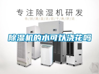 企業新聞除濕機的水可以澆花嗎